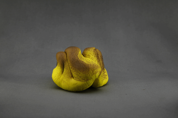 Kawaii Squishy Bread - Image 2